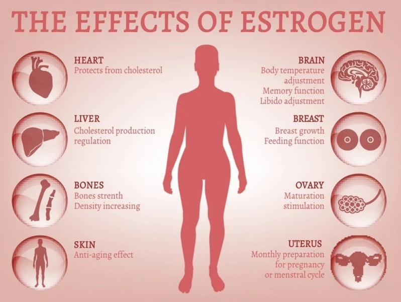 clínica de reposição hormonal de estrogênio