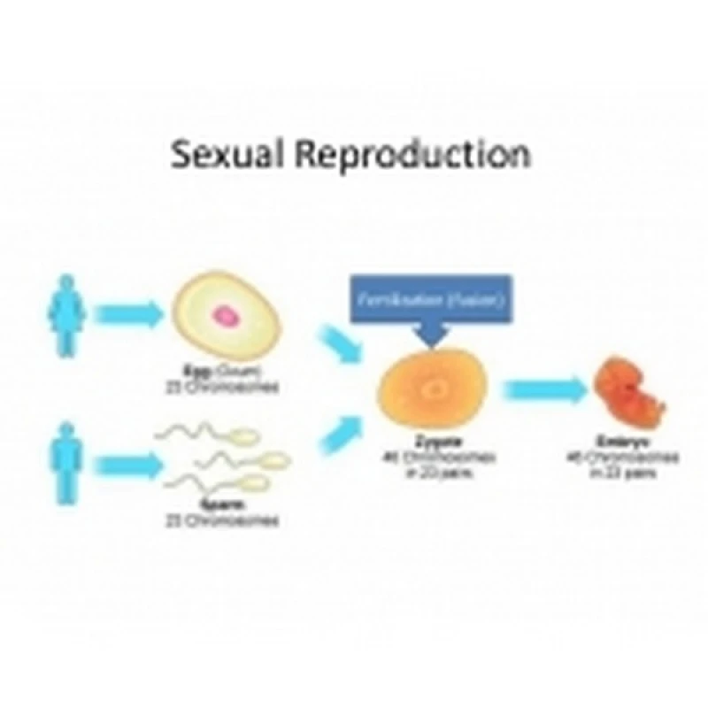 clínica de reprodução humana