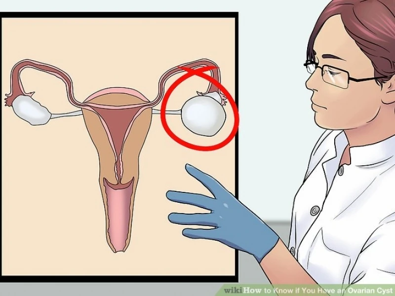 médico ginecologista e obstetra