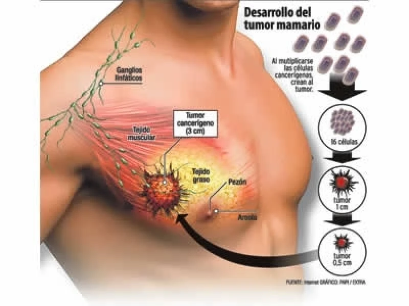médico responsável pela mama