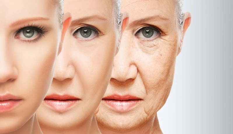 reposição hormonal na menopausa